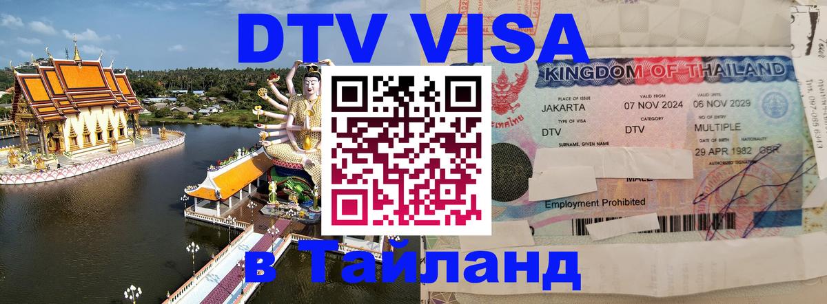 Сколько стоит DTV виза — актуальные цены, оформление даже без документов - Брянск  09.01.2026 